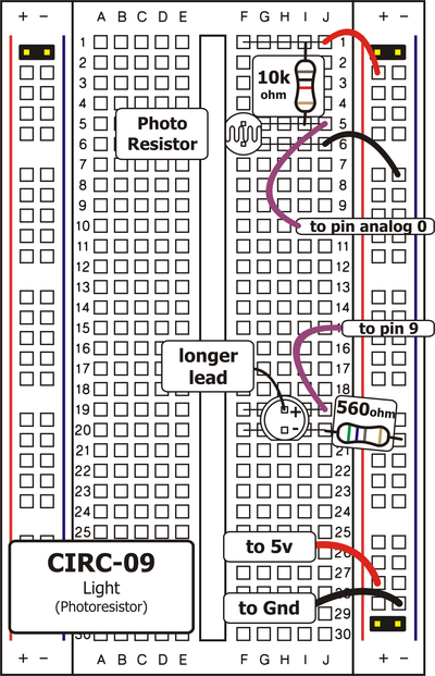 Circuit Layout