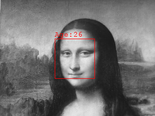 /images/linux_woman.png