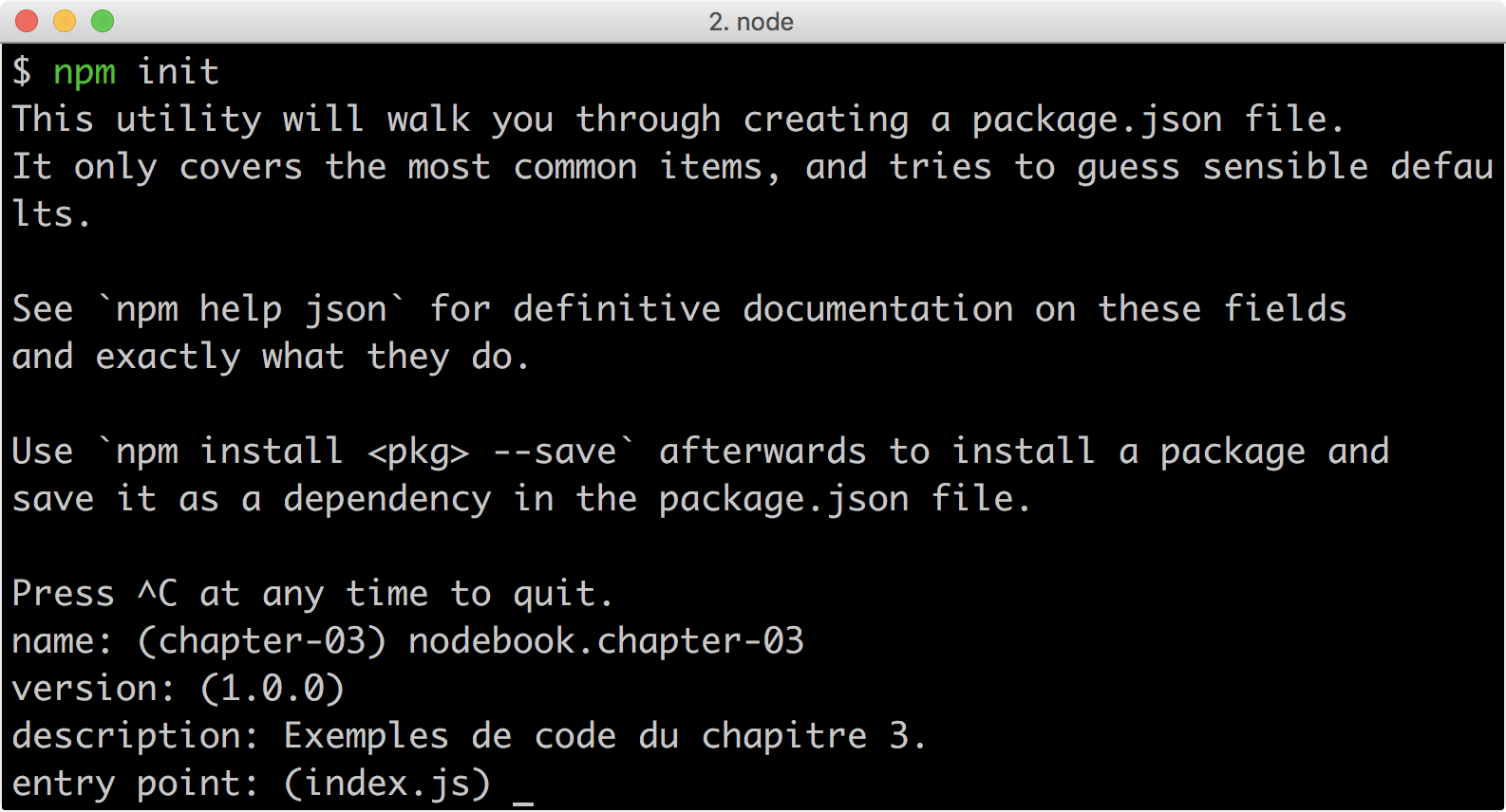/chapter-05/images/npm-init.png