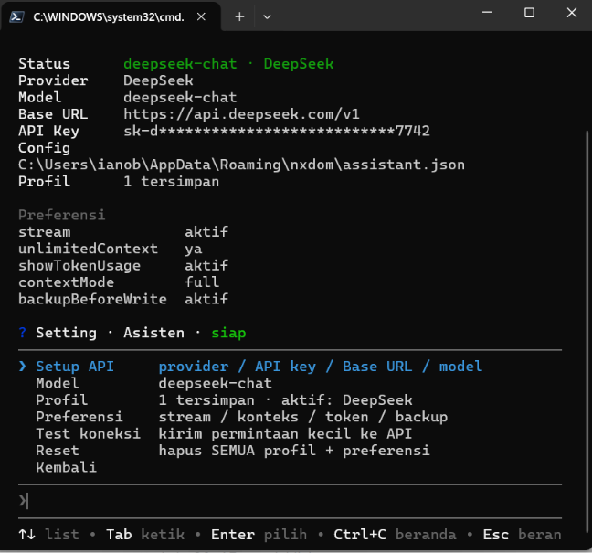 Pengaturan Asisten nxdom