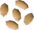 /public/assets/items/palm-tree-seed.png