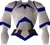 /public/assets/items/saradomin-robe-top.png