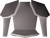/public/assets/items/steel-platebody-t.png
