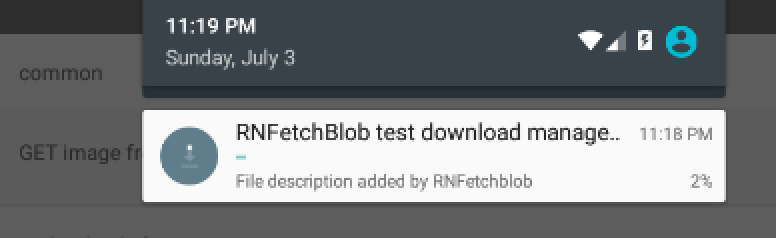 /img/download-manager.png
