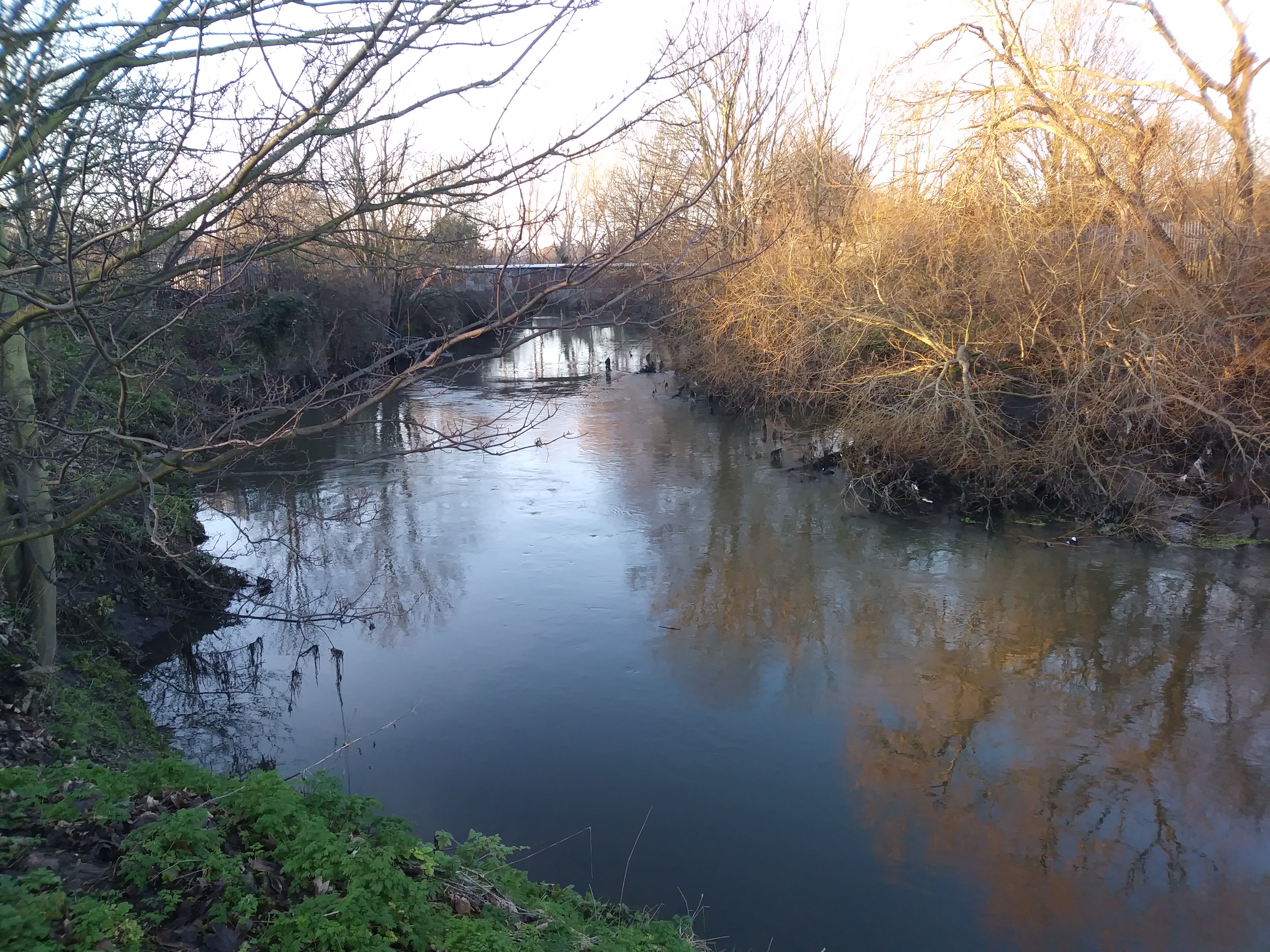 River scene responsive image