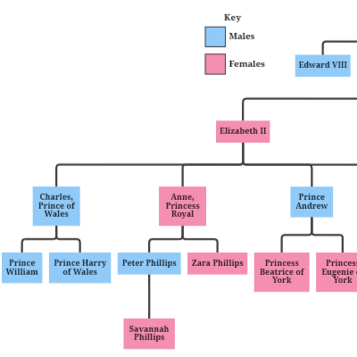 /assets/images/screenshots/familyTree.png