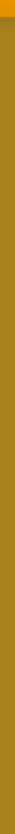/resources/themes/images/access/btn/btn-default-large-focus-bg.gif