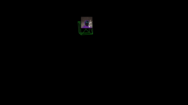 /osciliating_cat.gif