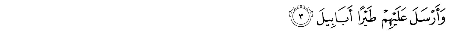 /images/105/105_3.png