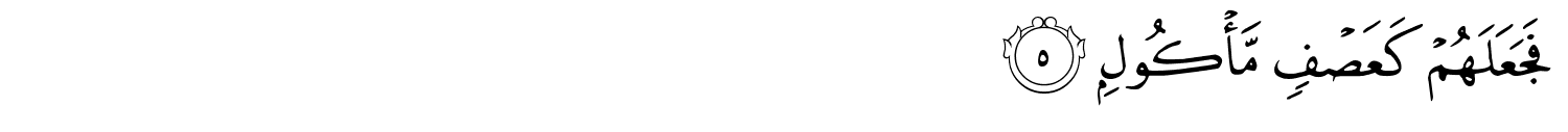 /images/105/105_5.png
