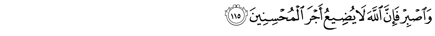 /images/11/11_115.png