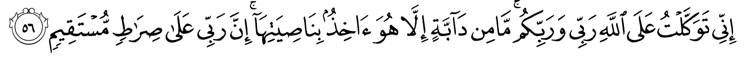/images/11/11_56.png