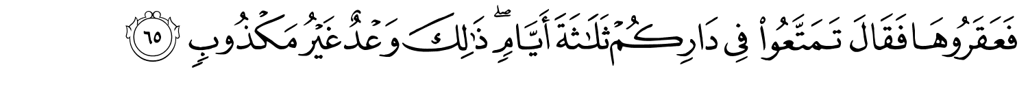 /images/11/11_65.png
