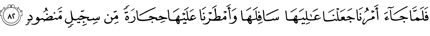 /images/11/11_82.png