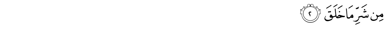 /images/113/113_2.png