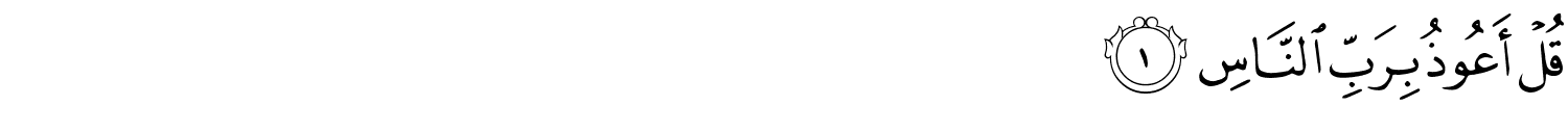 /images/114/114_1.png