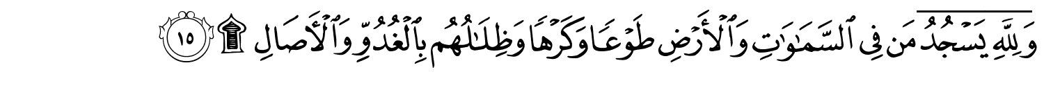 /images/13/13_15.png