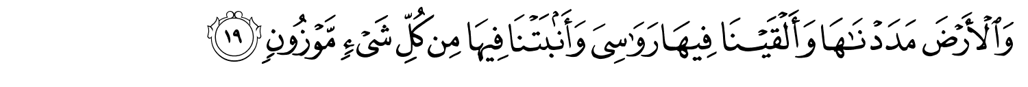 /images/15/15_19.png