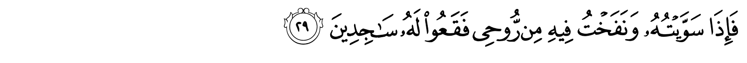 /images/15/15_29.png