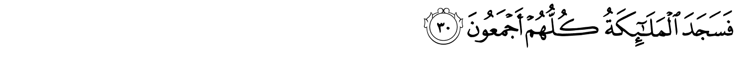 /images/15/15_30.png