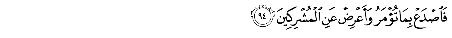 /images/15/15_94.png