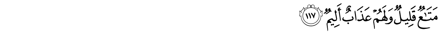 /images/16/16_117.png