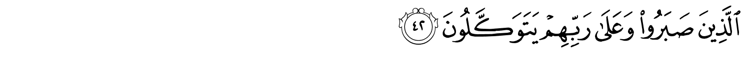/images/16/16_42.png