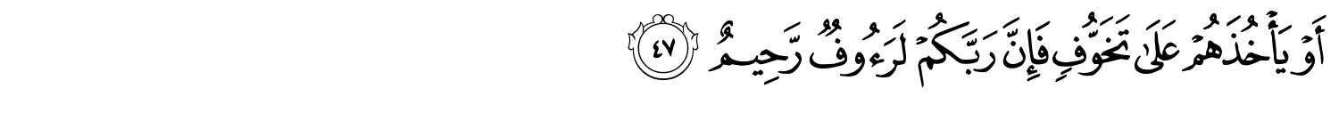/images/16/16_47.png