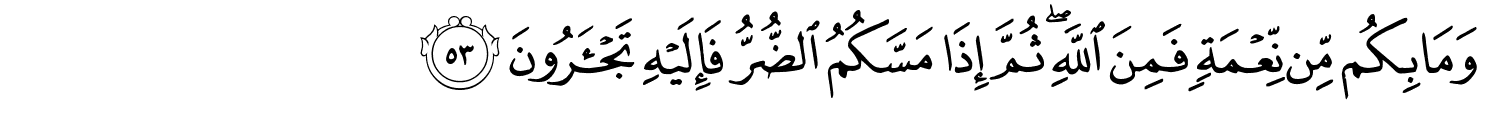 /images/16/16_53.png
