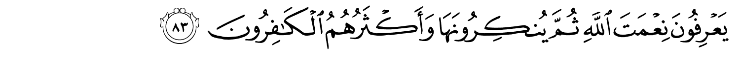 /images/16/16_83.png
