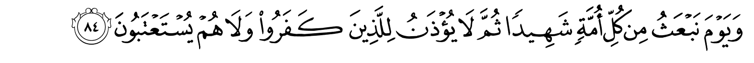 /images/16/16_84.png