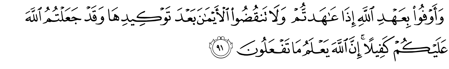 /images/16/16_91.png
