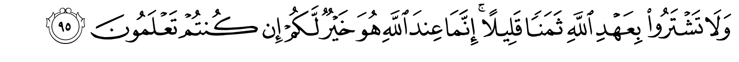 /images/16/16_95.png