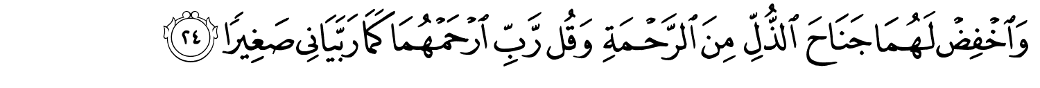 /images/17/17_24.png