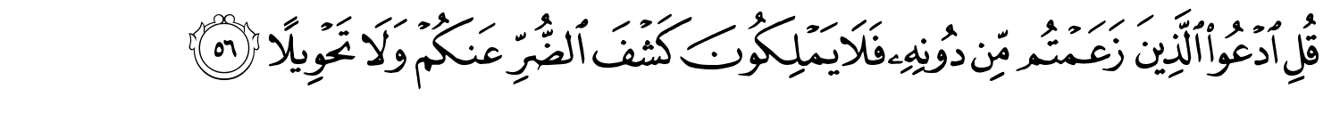 /images/17/17_56.png