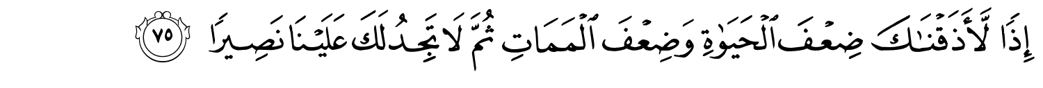 /images/17/17_75.png