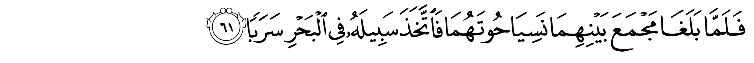 /images/18/18_61.png