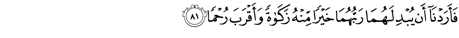 /images/18/18_81.png