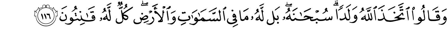 /images/2/2_116.png