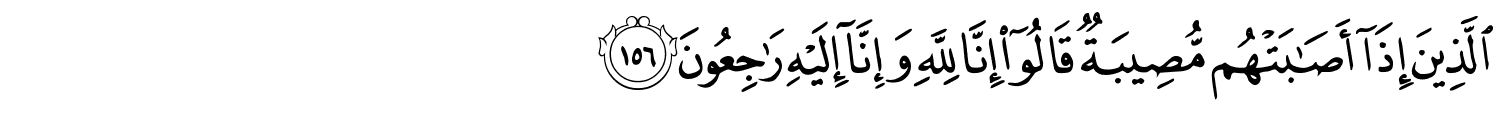 /images/2/2_156.png