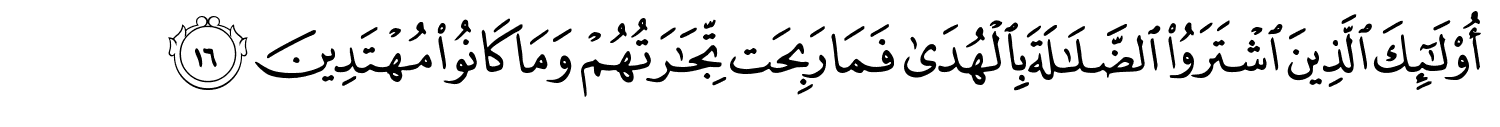 /images/2/2_16.png