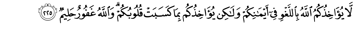 /images/2/2_225.png