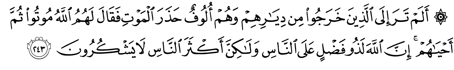 /images/2/2_243.png