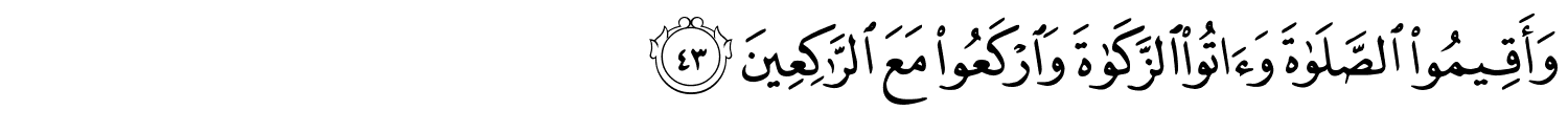 /images/2/2_43.png