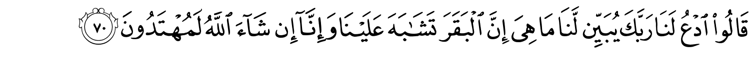/images/2/2_70.png