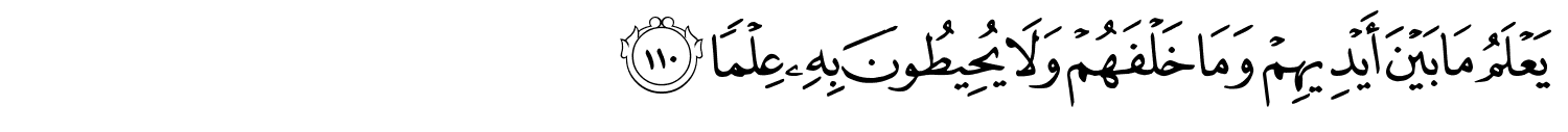 /images/20/20_110.png