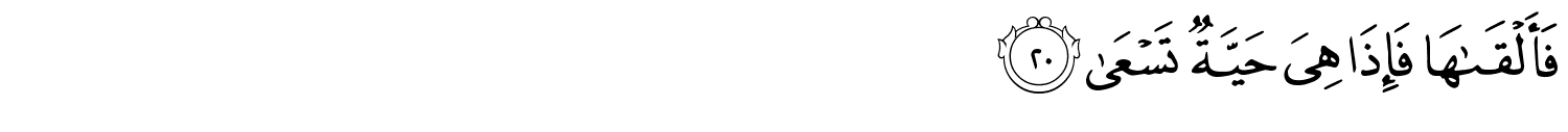 /images/20/20_20.png
