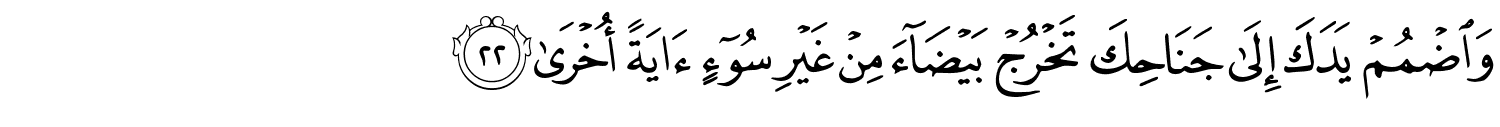 /images/20/20_22.png