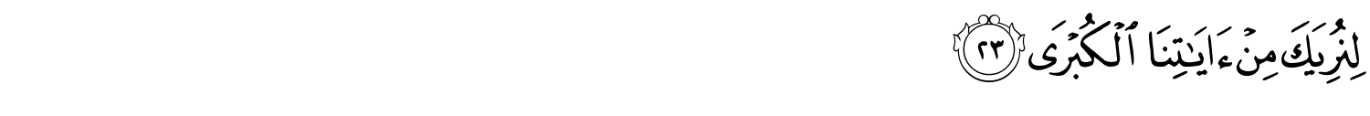 /images/20/20_23.png