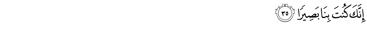 /images/20/20_35.png